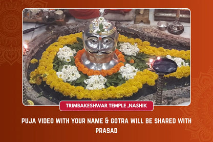 Puja For Cleansing of Sins ,Misfortunes ,Success in Buissness at Trimbakeshwar Temple , Nashik OmVaikuntha